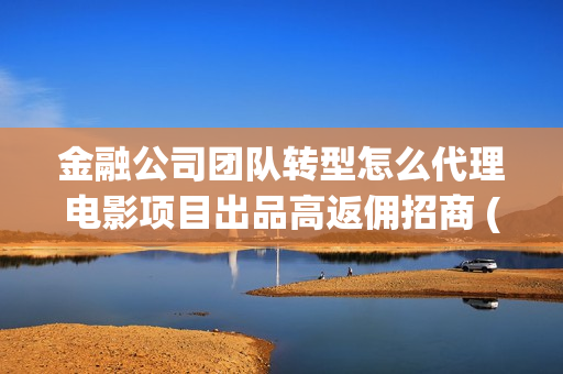 金融公司团队转型怎么代理电影项目出品高返佣招商 (金融公司团队转型方案)
