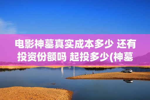 电影神墓真实成本多少 还有投资份额吗 起投多少(神墓说的是啥)