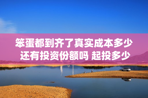 笨蛋都到齐了真实成本多少 还有投资份额吗 起投多少(笨蛋下一句是什么)