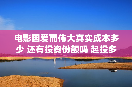 电影因爱而伟大真实成本多少 还有投资份额吗 起投多少(因爱而伟大电影简介)