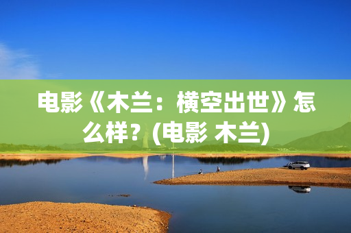 电影《木兰：横空出世》怎么样？(电影 木兰)