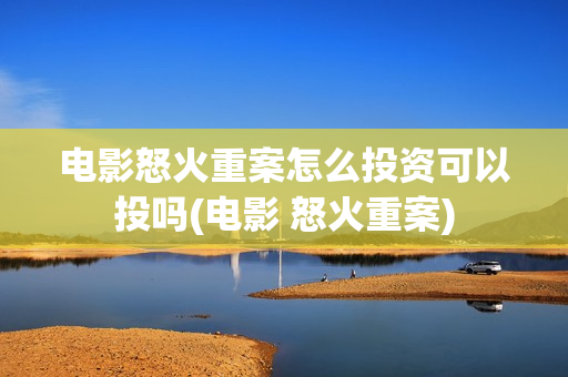 电影怒火重案怎么投资可以投吗(电影 怒火重案)