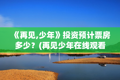 《再见,少年》投资预计票房多少？(再见少年在线观看免费完整版)