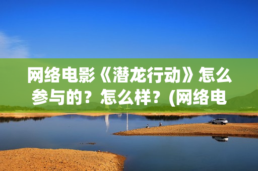 网络电影《潜龙行动》怎么参与的？怎么样？(网络电影《潜龙》演员表)
