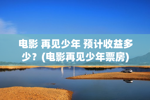 电影 再见少年 预计收益多少？(电影再见少年票房)