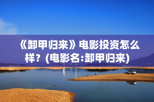 《卸甲归来》电影投资怎么样？(电影名:卸甲归来)
