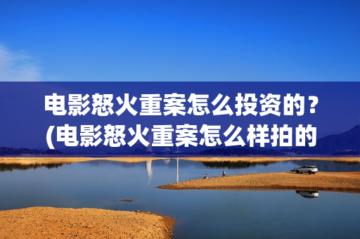 电影怒火重案怎么投资的？(电影怒火重案怎么样拍的)