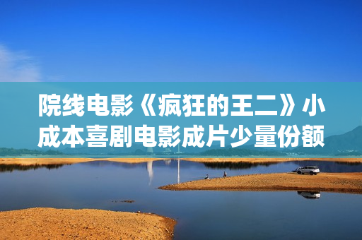 院线电影《疯狂的王二》小成本喜剧电影成片少量份额(疯狂 电影 2007)