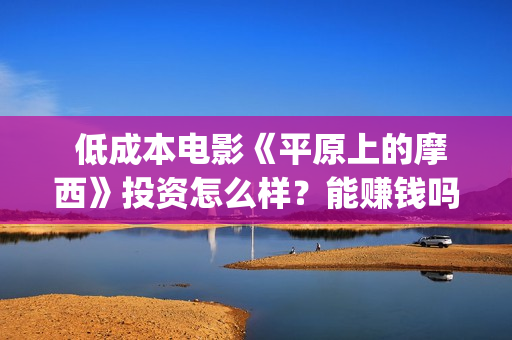  低成本电影《平原上的摩西》投资怎么样？能赚钱吗？(低成本高口碑电影)
