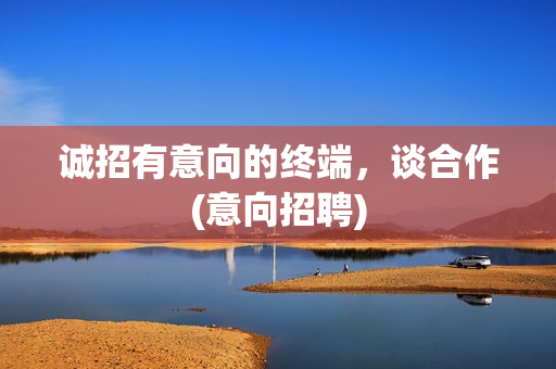 诚招有意向的终端，谈合作(意向招聘)