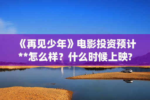 《再见少年》电影投资预计**怎么样？什么时候上映? (再见少年是什么电影)