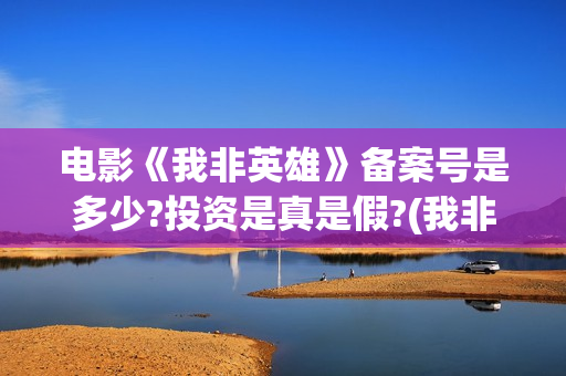 电影《我非英雄》备案号是多少?投资是真是假?(我非英雄mp4)