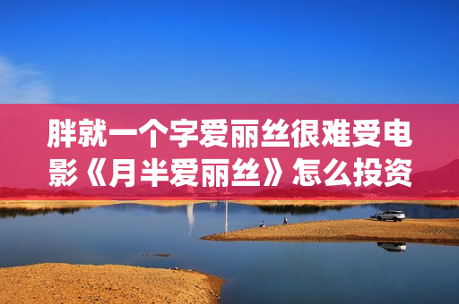 胖就一个字爱丽丝很难受电影《月半爱丽丝》怎么投资？(就是一个胖子)