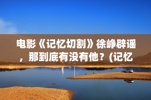 电影《记忆切割》徐峥辟谣，那到底有没有他？(记忆切割电影海报)