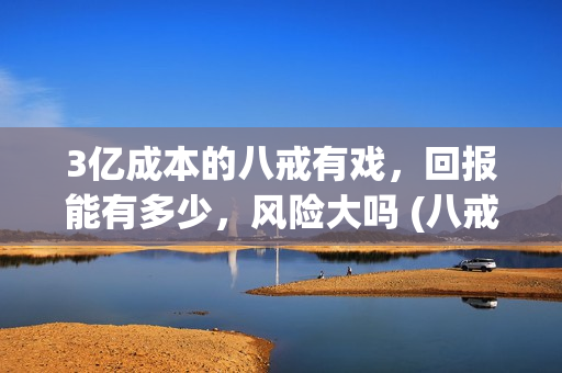 3亿成本的八戒有戏，回报能有多少，风险大吗 (八戒做生意)
