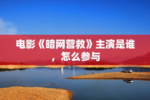 电影《暗网营救》主演是谁，怎么参与
