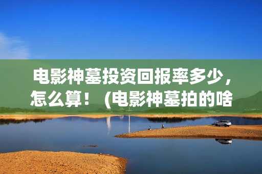 电影神墓投资回报率多少，怎么算！ (电影神墓拍的啥玩意)