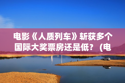 电影《人质列车》斩获多个国际大奖票房还是低？ (电影人质列车什么时候上映)