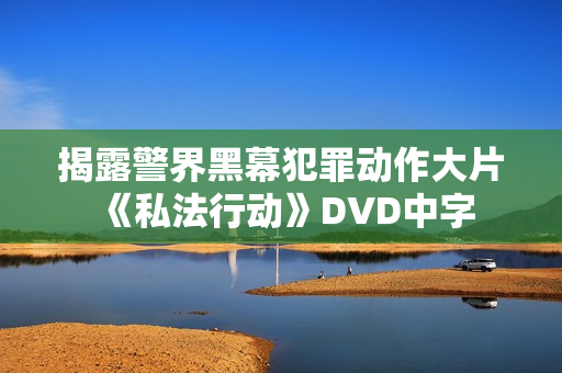 揭露警界黑幕犯罪动作大片《私法行动》DVD中字