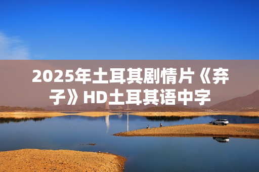 2025年土耳其剧情片《弃子》HD土耳其语中字
