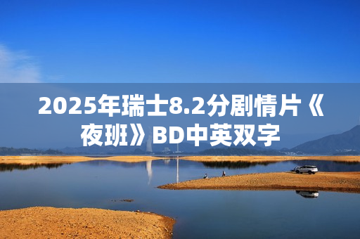 2025年瑞士8.2分剧情片《夜班》BD中英双字