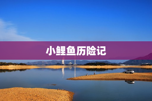 小鲤鱼历险记