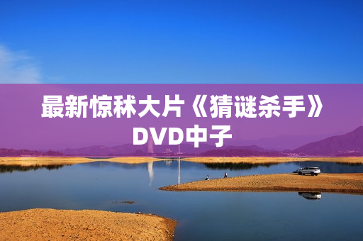 最新惊秫大片《猜谜杀手》DVD中子
