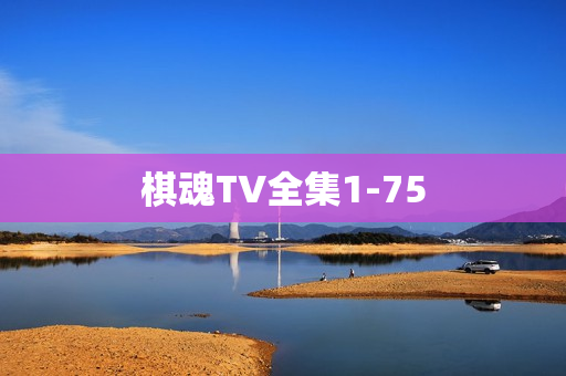 棋魂TV全集1-75