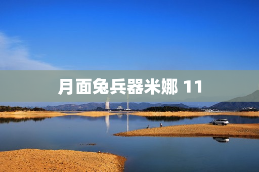 月面兔兵器米娜 11