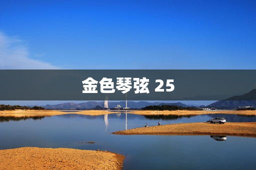 金色琴弦 25