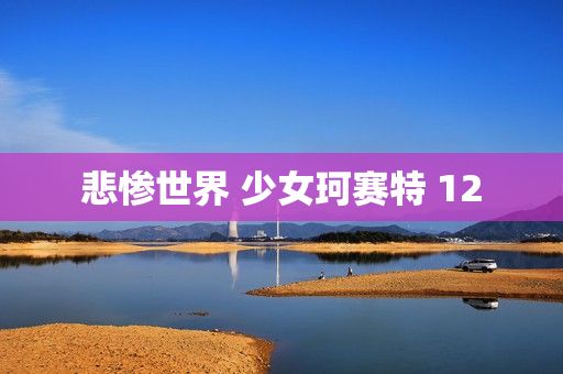 悲惨世界 少女珂赛特 12