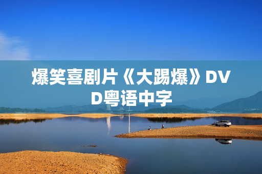 爆笑喜剧片《大踢爆》DVD粤语中字