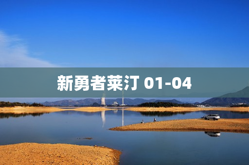 新勇者莱汀 01-04
