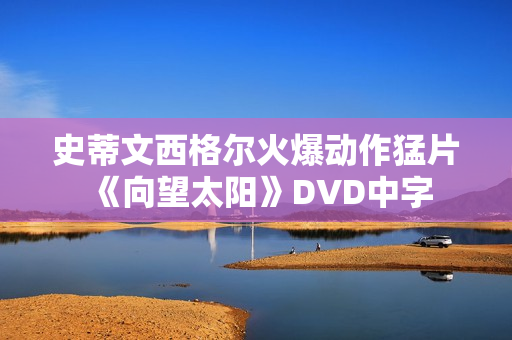 史蒂文西格尔火爆动作猛片《向望太阳》DVD中字