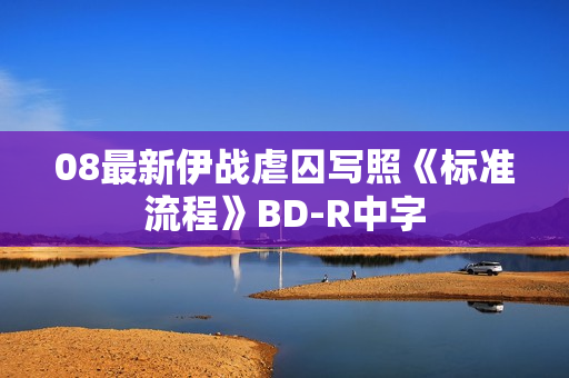 08最新伊战虐囚写照《标准流程》BD-R中字