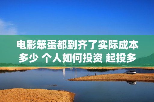 电影笨蛋都到齐了实际成本多少 个人如何投资 起投多少(请问笨蛋)