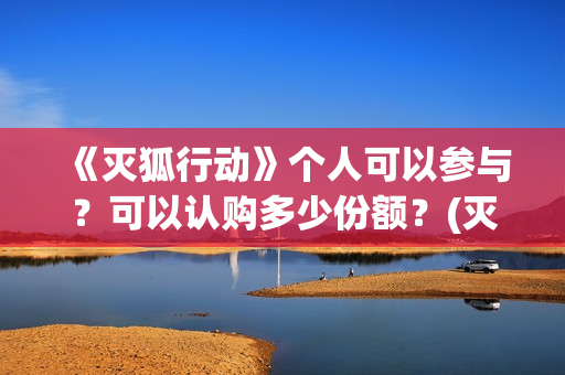 《灭狐行动》个人可以参与？可以认购多少份额？(灭狐行动制片人)