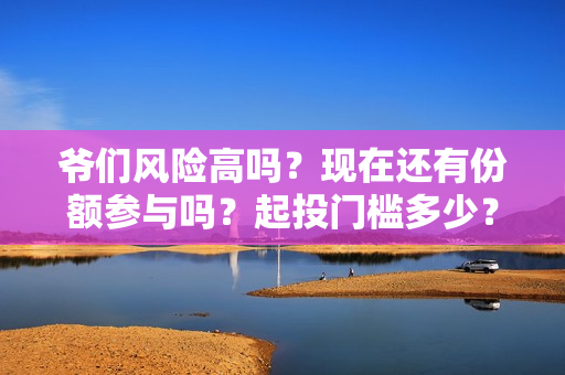 爷们风险高吗？现在还有份额参与吗？起投门槛多少？