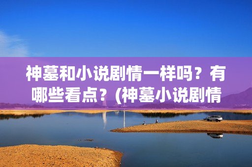 神墓和小说剧情一样吗？有哪些看点？(神墓小说剧情介绍)