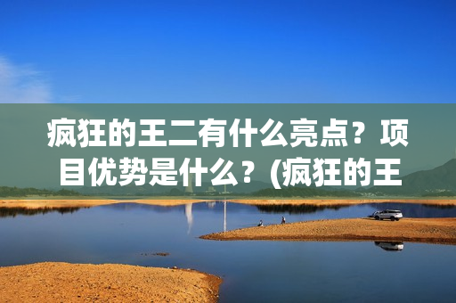 疯狂的王二有什么亮点？项目优势是什么？(疯狂的王二演员)