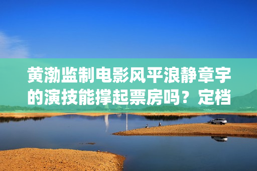 黄渤监制电影风平浪静章宇的演技能撑起票房吗？定档了吗？(黄渤电影大全全集)
