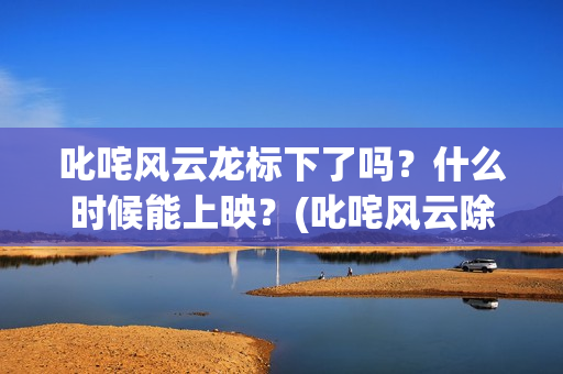 叱咤风云龙标下了吗？什么时候能上映？(叱咤风云除了龙还有谁)