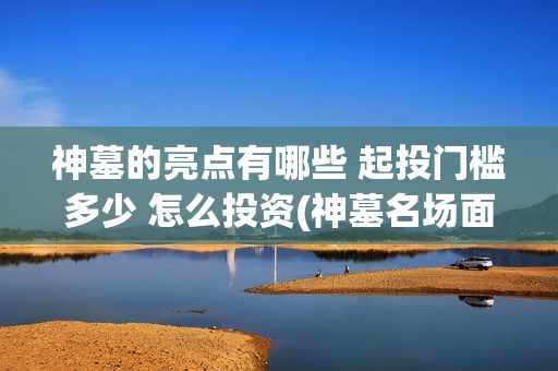 神墓的亮点有哪些 起投门槛多少 怎么投资(神墓名场面)