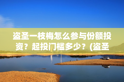 盗圣一枝梅怎么参与份额投资？起投门槛多少？(盗圣一枝梅演员)