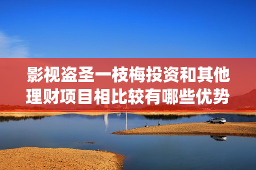 影视盗圣一枝梅投资和其他理财项目相比较有哪些优势？(盗圣一枝梅演员)