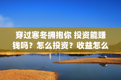 穿过寒冬拥抱你 投资能赚钱吗？怎么投资？收益怎么样？(穿过寒冬拥抱你哪年拍的)