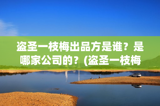 盗圣一枝梅出品方是谁？是哪家公司的？(盗圣一枝梅演员)