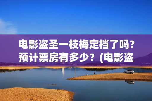 电影盗圣一枝梅定档了吗？预计票房有多少？(电影盗圣一枝梅简介)