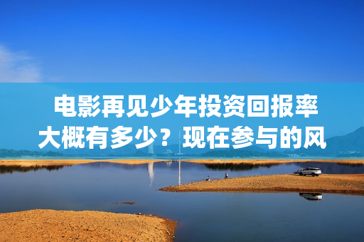  电影再见少年投资回报率大概有多少？现在参与的风险大吗？(电影再见少年剧情介绍)