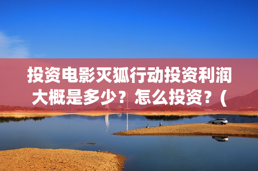 投资电影灭狐行动投资利润大概是多少？怎么投资？(电影灭狐行上上映时间)